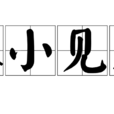 以小見大(成語) 以小見大(成語)