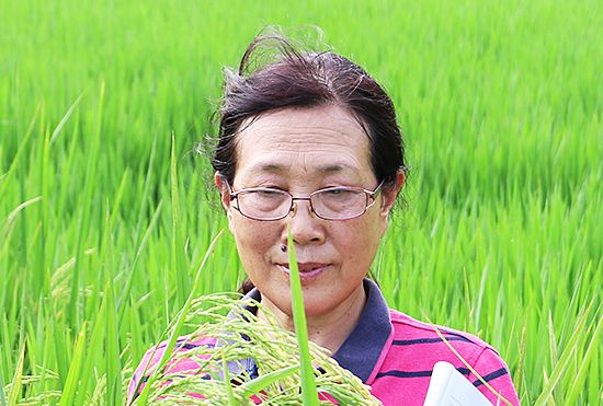 朱洪文(江蘇豐慶種業董事長、高級農藝師、育種家) 朱洪文(江蘇豐慶種業董事長、高級農藝師、育種家)