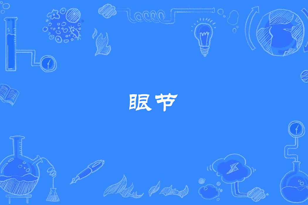 眼節 眼節