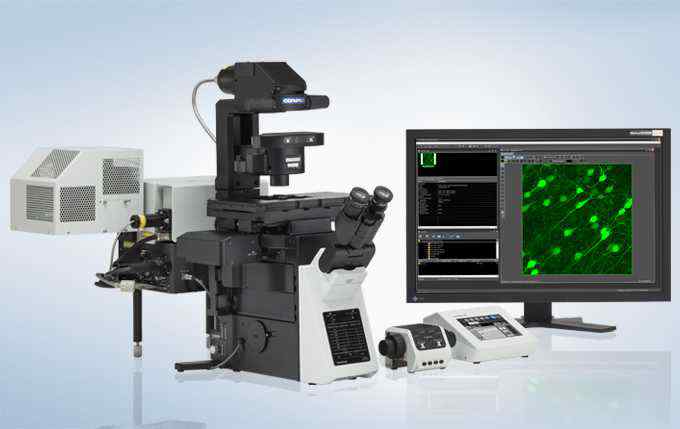 雷射掃描共聚焦顯微鏡