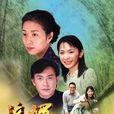 流氓教授(2001年版游堅煜等導演電視劇)