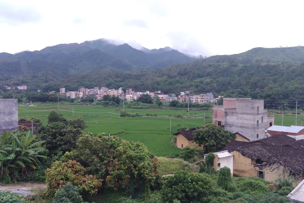 石子村(廣東省信宜市貴子鎮石子村) 石子村(廣東省信宜市貴子鎮石子村)