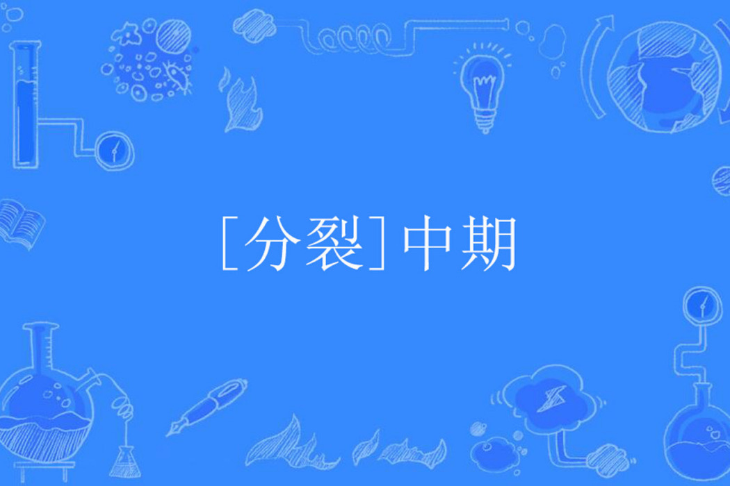 [分裂]中期
