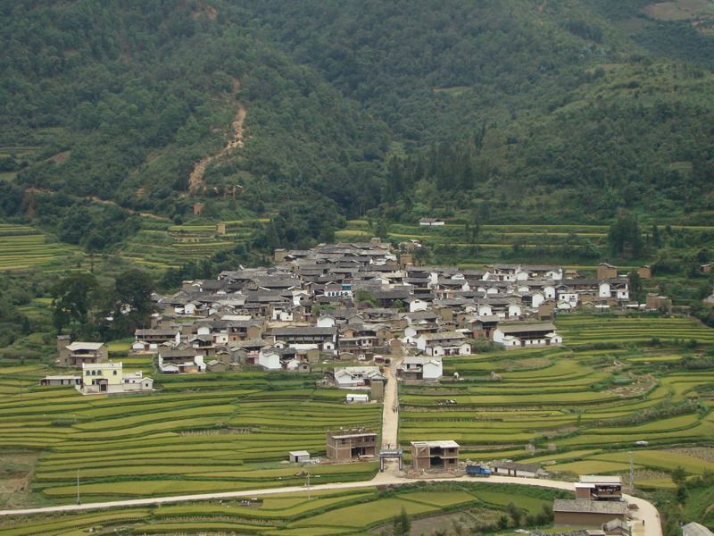 大練莊村(雲南省紅河州石屏縣龍武鎮下轄村)