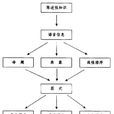 陳述性記憶 陳述性記憶