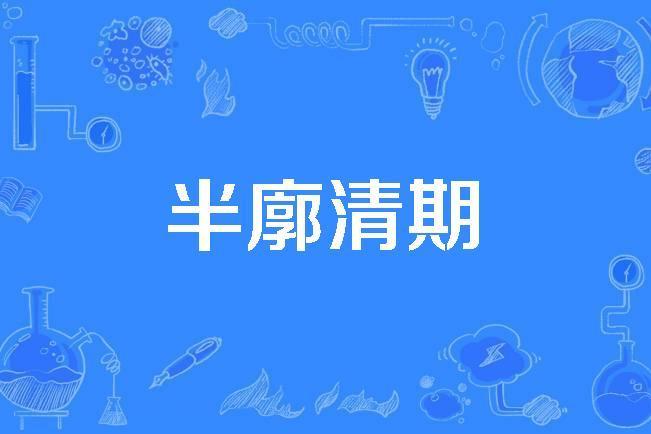 半廓清期 半廓清期