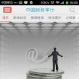 中國財務審計 中國財務審計