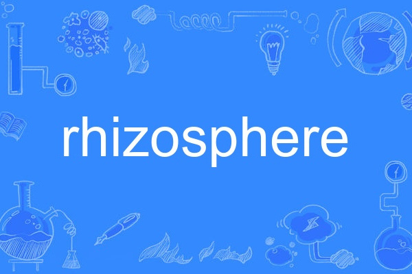 rhizosphere rhizosphere