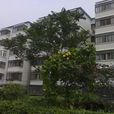 星光佳園 星光佳園
