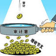 審計(獨立性的經濟監督活動) 審計(獨立性的經濟監督活動)