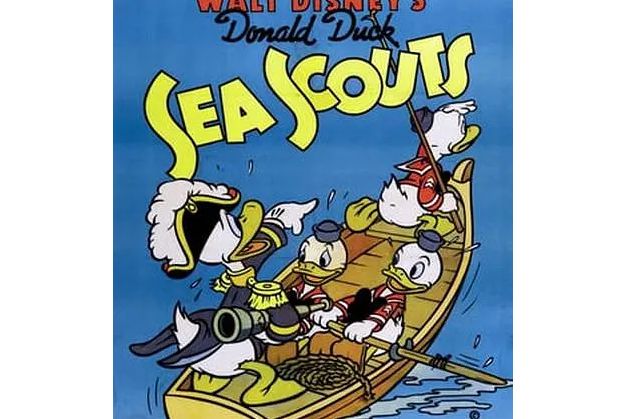 Sea Scouts Sea Scouts