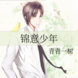 錦意少年 錦意少年