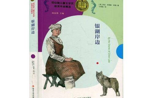 銀湖岸邊(2020年南京大學出版社出版的圖書) 銀湖岸邊(2020年南京大學出版社出版的圖書)