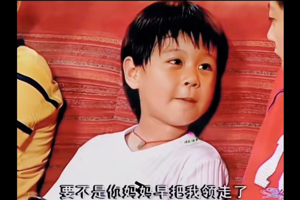 歡歡(情景喜劇《家有兒女1》中的角色) 歡歡(情景喜劇《家有兒女1》中的角色)