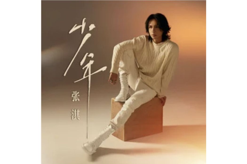 少年(張淇演唱的歌曲) 少年(張淇演唱的歌曲)