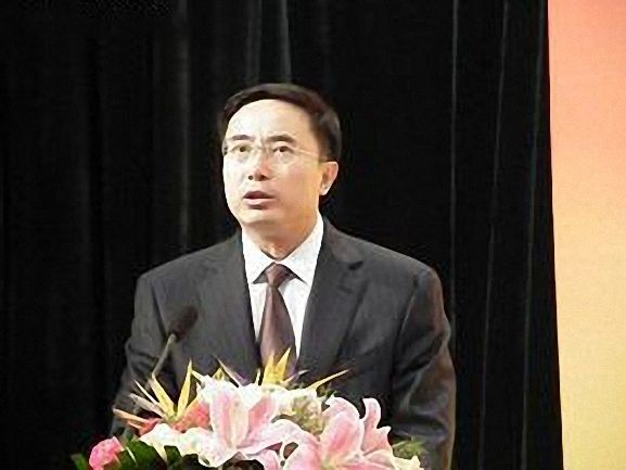 楊林(雲南省委教育工委原常務副書記)
