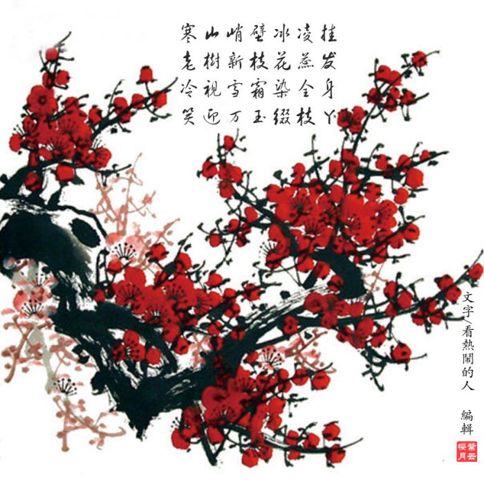 梅花林 梅花林