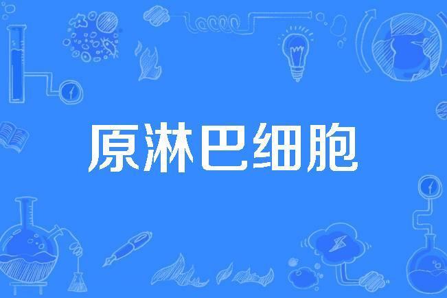 原淋巴細胞