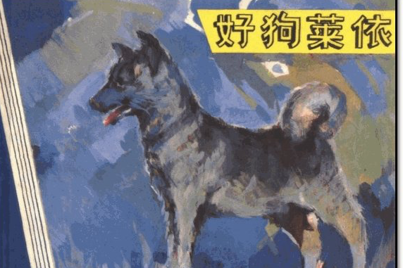 好狗萊依 好狗萊依