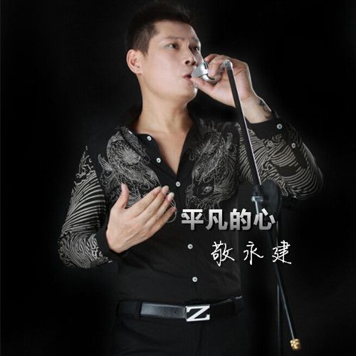 平凡的心(歌曲) 平凡的心(歌曲)