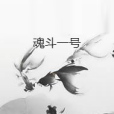魂斗一號