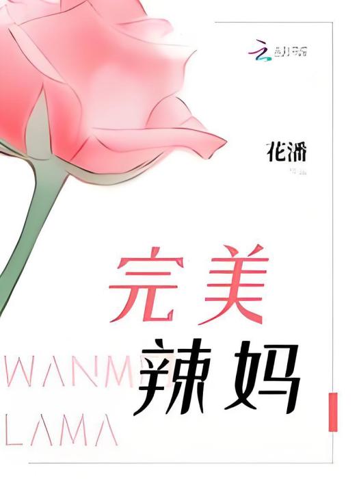 完美辣媽 完美辣媽
