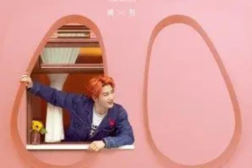 豬鼻子 豬鼻子