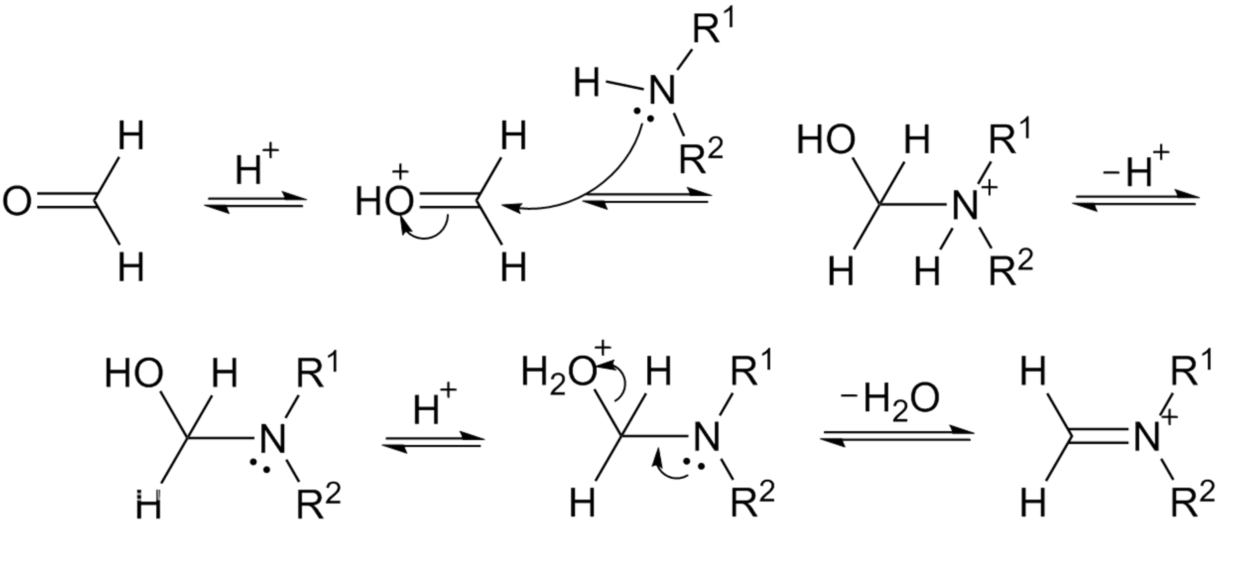 曼尼希反應形成醛亞胺的機理
