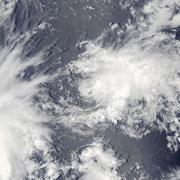 第14號熱帶風暴“尤娜拉”衛星雲圖