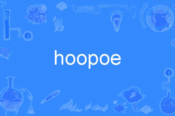 hoopoe hoopoe
