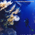 海洋傳 海洋傳