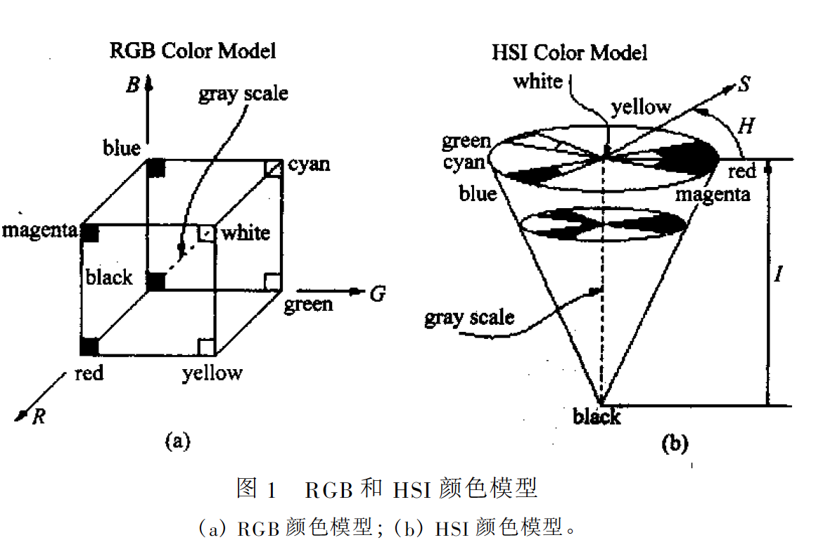 圖1 RGB 和HSI 顏色模型 （a）RGB 顏色模型；（b）HSI 顏色模型