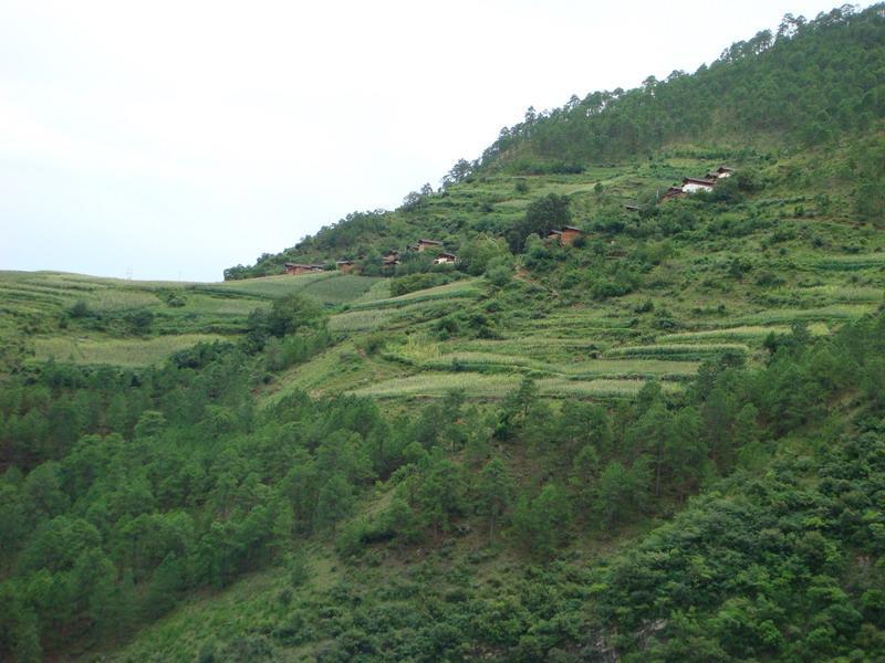 柳青二村 柳青二村