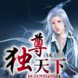 獨尊天下 獨尊天下