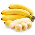 香蕉(芭蕉科芭蕉屬植物)