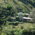 頭道橋村 頭道橋村