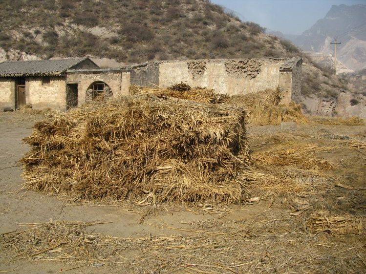 武家坡村(山西省太原市清徐縣東於鎮下轄村)