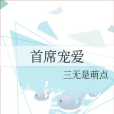 首席寵愛 首席寵愛