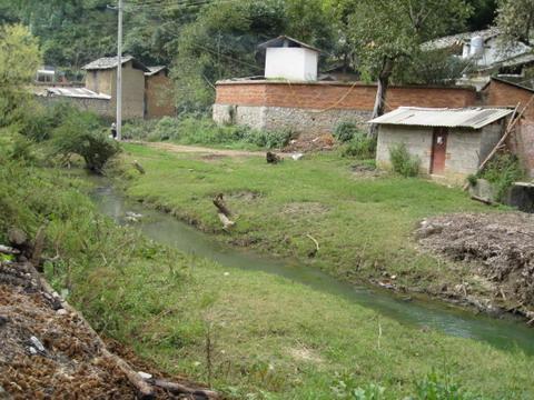 棕白村 棕白村