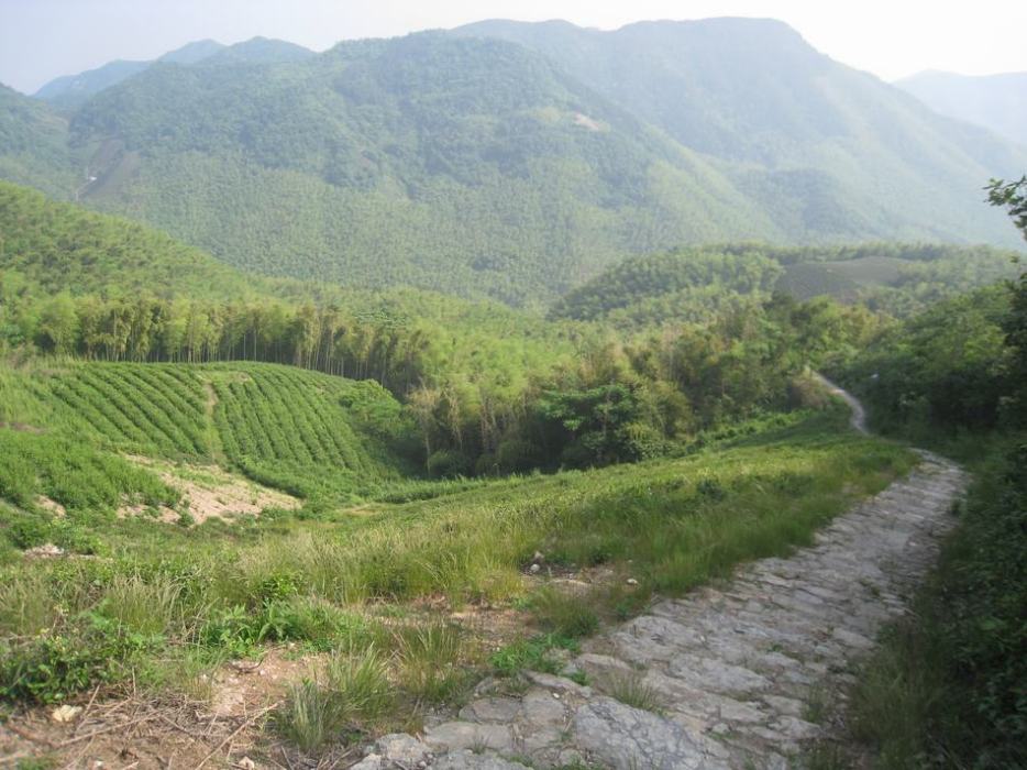 夾岙嶺古道 夾岙嶺古道