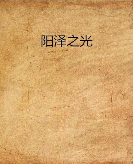 陽澤之光 陽澤之光