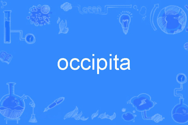 occipita occipita