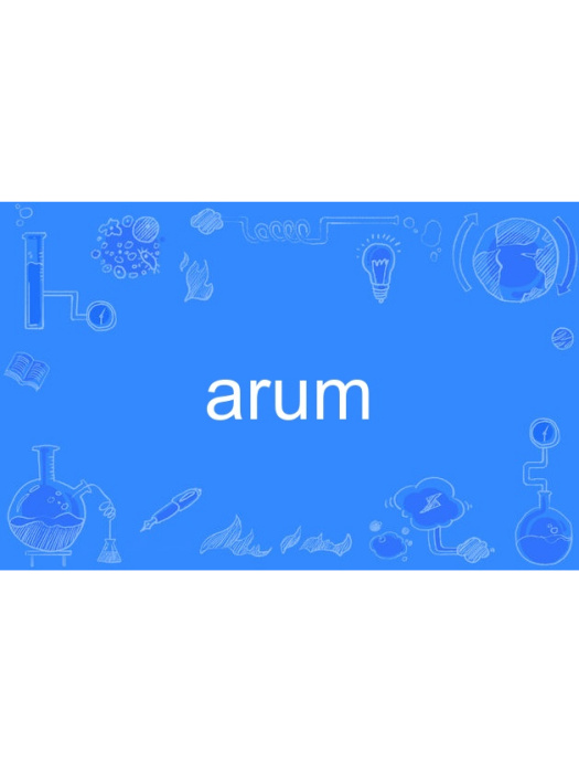 arum arum