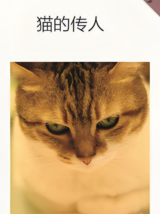 貓的傳人 貓的傳人
