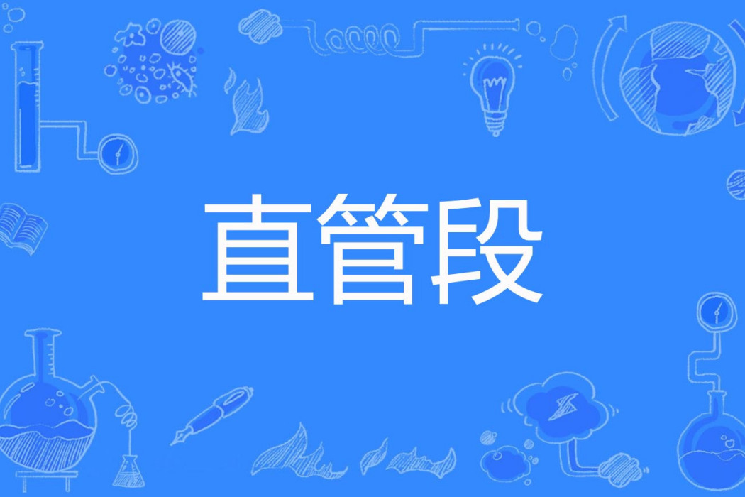 直管段 直管段