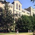 尼亞加拉大學