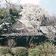 東慶寺 東慶寺