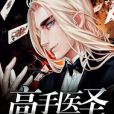 高手醫聖 高手醫聖