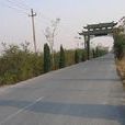 郭肇村 郭肇村
