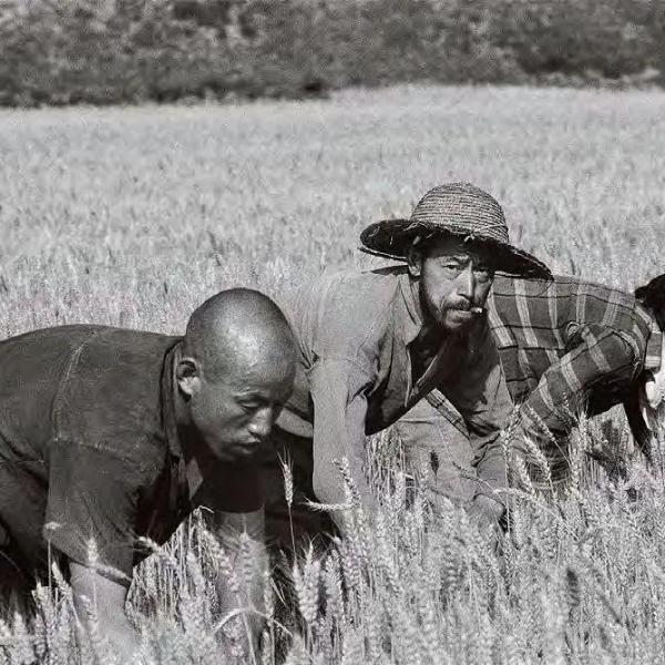 侯登科 侯登科